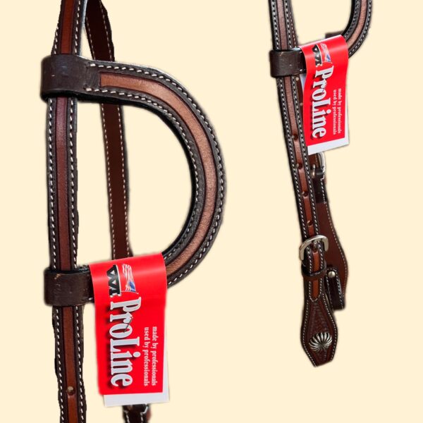 WI Headstall